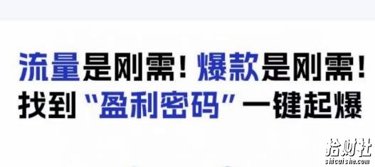 电商盈利精品课:6大盈利密码让产品更好卖,流量是刚需!爆款是刚需!找到”盈利密码”一键起爆