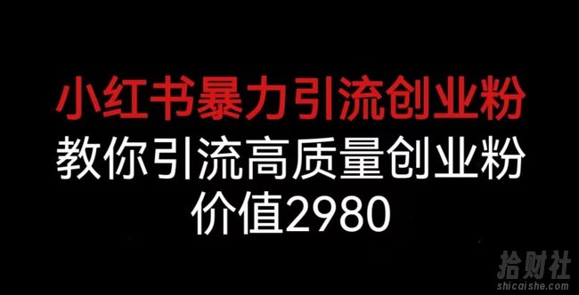 小红书暴力引流创业粉，教你引流高质量创业粉，价值2980【揭秘】