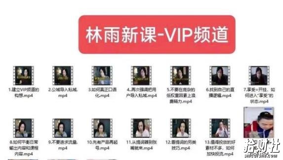 林雨新课VIP频道,玩赚私域/朋友圈/社群
