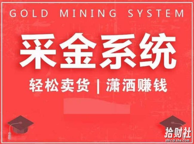 采金系统2.0,私域成交,快速成交收钱,轻松卖货,业绩暴涨,潇洒賺米