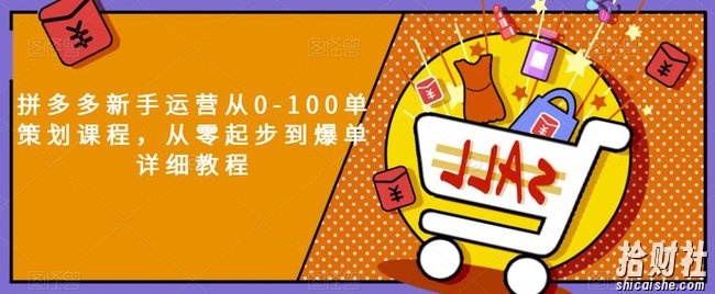 拼多多新手运营从0-100单策划课程，从零起步到爆单详细教程