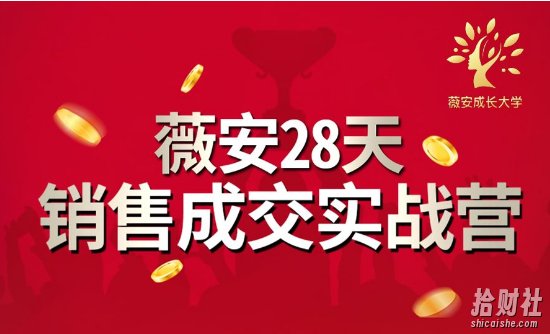 薇安28天销售成交实战营，5分钟成交3万，实现了月入近6位数的营收