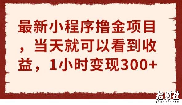 最新小程序撸金项目,当天就可以看到收益,1小时变现300+【揭秘】