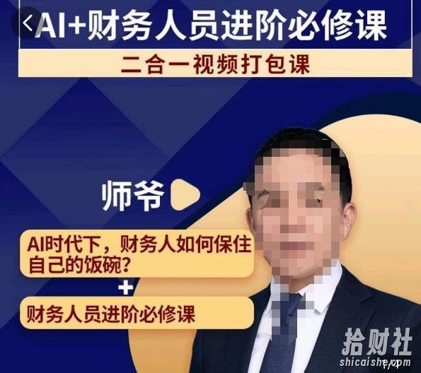 AI+财务人员进阶必修课二合一视频打包课,财务人员进阶必修课