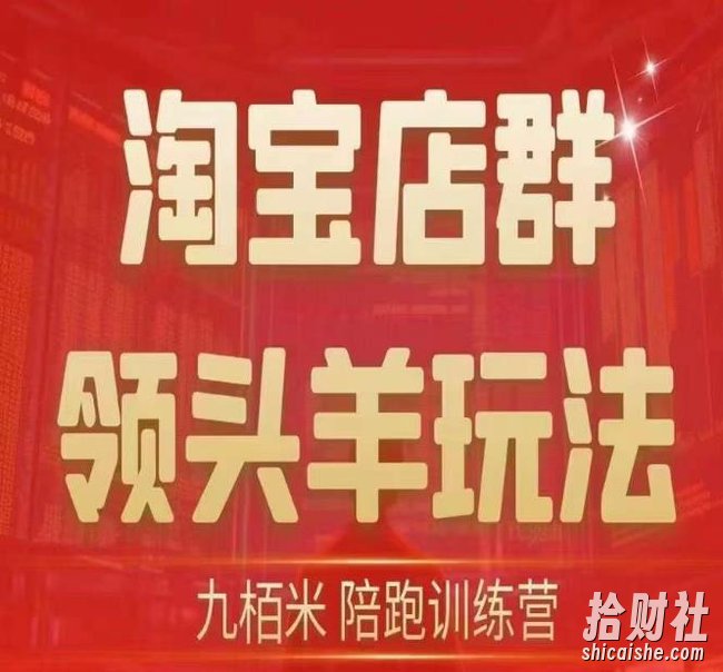 九栢米-淘宝店群领头羊玩法，教你整个淘宝店群领头羊玩法以及精细化/终极蓝海/尾销等内容