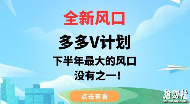 全新风口，多多V计划，下半年最大的风口项目，没有之一【揭秘】