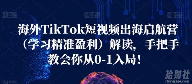海外TikTok短视频出海启航营（学习精准盈利）解读，手把手教会你从0-1入局！