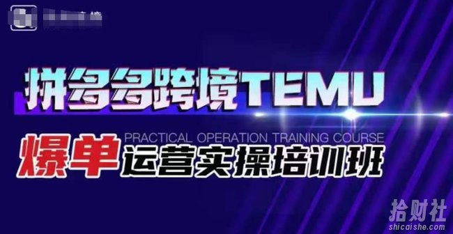 拼多多跨境TEMU爆单运营实操培训班,海外拼多多的选品、运营、爆单