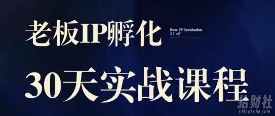 诸葛·2023老板IP实战课,实体同城引流获客,IP孵化必听