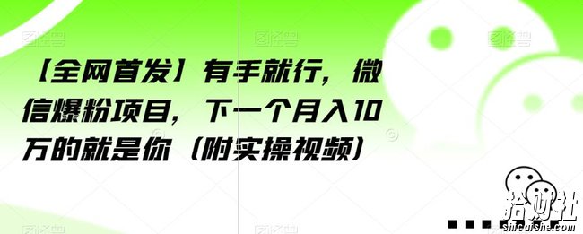 【全网首发】有手就行,微信爆粉项目,下一个月入10万的就是你(附实操视频)【揭秘】