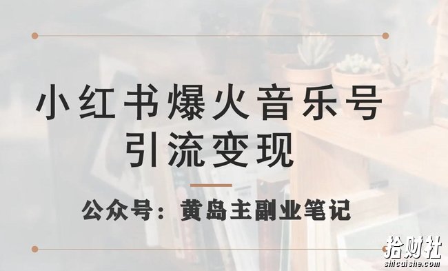 小红书爆火音乐号引流变现项目，视频版一条龙实操玩法分享给你