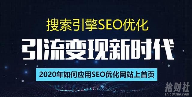 SEO搜索引擎优化总监实战VIP课堂【透析2020最新案例】快速实现年新30w(第9期)
