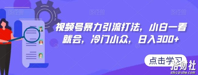 视频号暴力引流打法，小白一看就会，冷门小众，日入300+【揭秘】