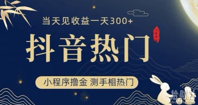 抖音最新小程序撸金，测手相上热门，当天见收益一小时变现300+【揭秘】