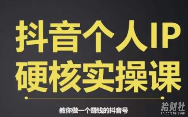 个人IP创富系统实战课,商业定位,流量打造,短视频变现,教你做个賺米的抖音号
