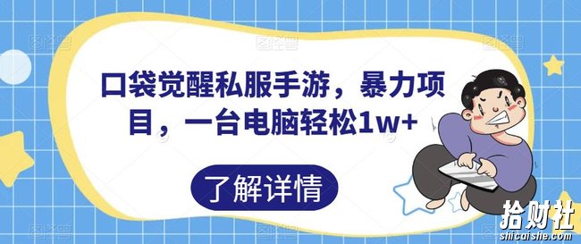 口袋觉醒私服手游，暴力项目，一台电脑轻松1w+【揭秘】