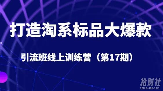 打造淘系标品大爆款引流班线上训练营（第17期）5天直播授课