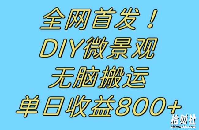 全网首发冷门赛道！DIY微景观，无脑搬运视频，日收益800+【揭秘】