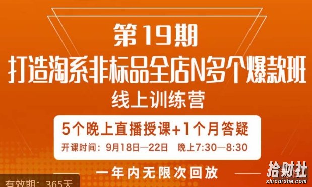 打造淘系非标全店N多个爆款线上课,5天直播课