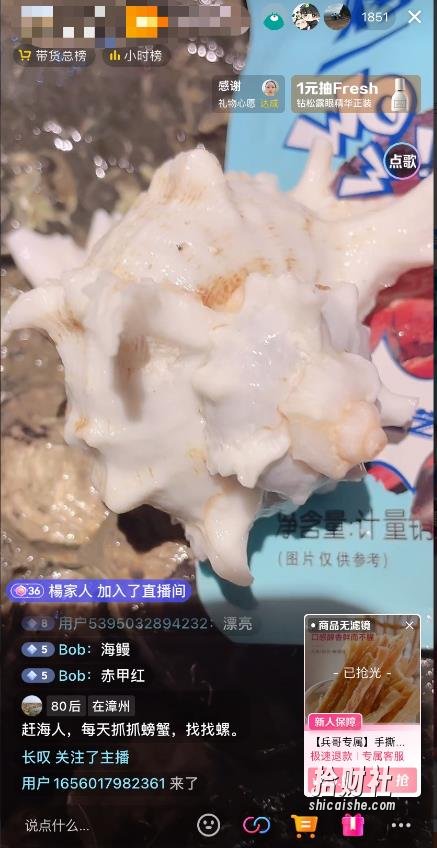 最新抖音快手赶海无人直播流量庞大，效果出奇的好（教程+素材）