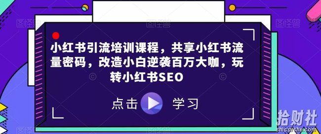 小红书引流培训课程，共享小红书流量密码，改造小白逆袭百万大咖，玩转小红书SEO
