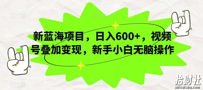 新蓝海项目，日入600+，视频号叠加变现，新手小白无脑操作【揭秘】