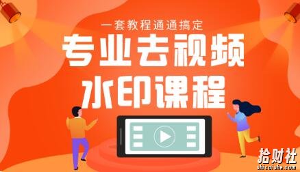 专业去视频水印教程静态水印、动态水印、文字水印、图片水印一套教程通通搞定
