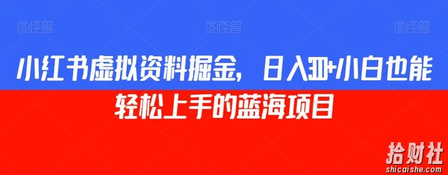 小红书虚拟资料掘金,日入300+小白也能轻松上手的蓝海项目【揭秘】