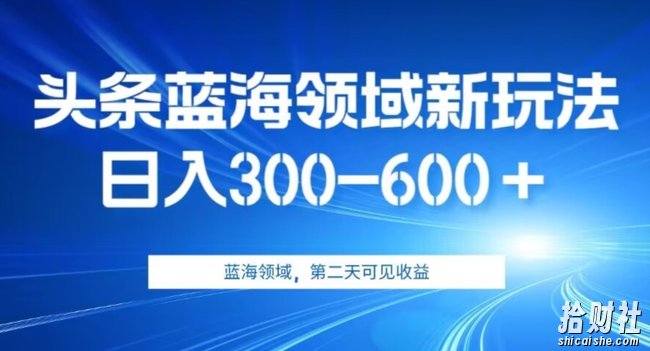 AI头条野路子蓝海领域新玩法2.0，日入300-600＋，附保姆级教程【揭秘】