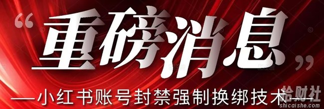 【最新】小红书账号封禁强制换绑技术可日赚300