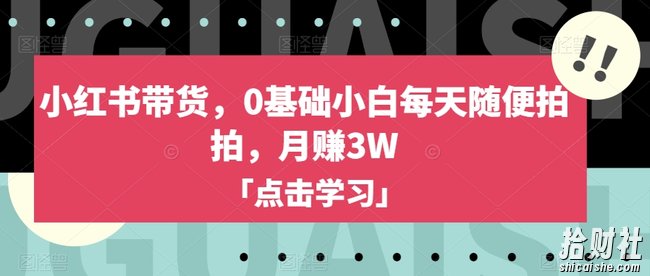 小红书带货，0基础小白每天随便拍拍，月赚3W【揭秘】