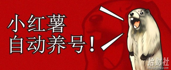 小红书养号秘籍,如何自动涨粉清晰系统标签打造高权重账号【揭秘】