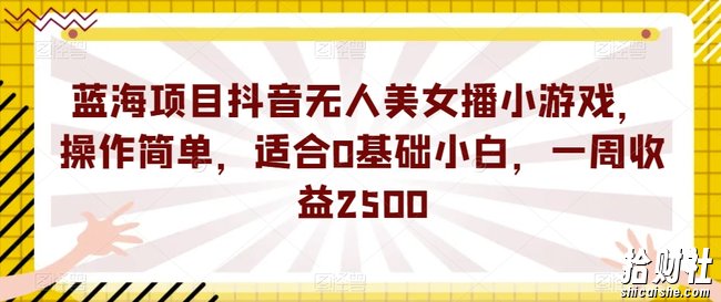 蓝海项目抖音无人美女播小游戏，操作简单，适合0基础小白，一周收益2500【揭秘】