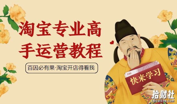 暴疯团队VIP全套賺米项目课程(淘宝开店之大运营)