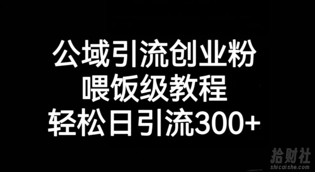 公域引流创业粉，喂饭级教程，轻松日引流300+【揭秘】