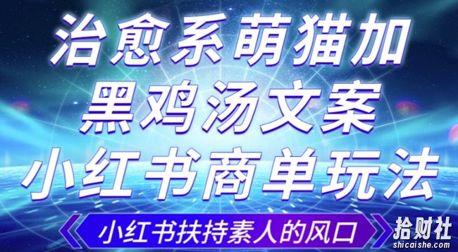 治愈系萌猫加+黑鸡汤文案,小红书商单玩法,3~10天涨到1000粉,一单200左右