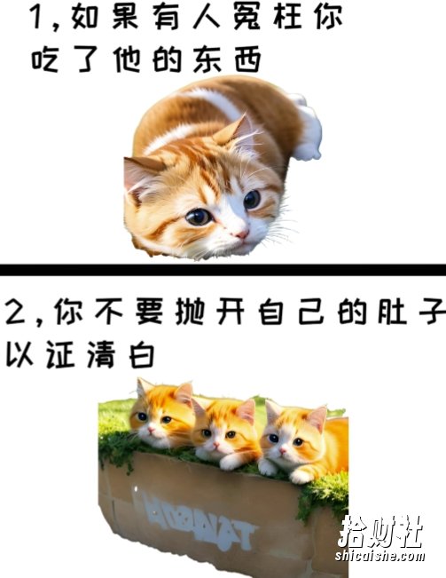 治愈系萌猫加+黑鸡汤文案，小红书商单玩法，3~10天涨到1000粉，一单200左右
