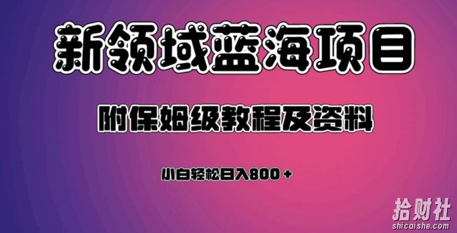 虚拟资源蓝海领域新项目,轻松日入800+,附保姆级教程及资料