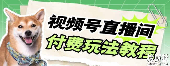 视频号美女付费无人直播，轻松日入500+【详细玩法教程】