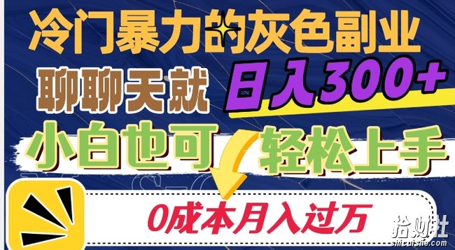 冷门暴利的副业项目，聊聊天就能日入300+，0成本月入过万【揭秘】
