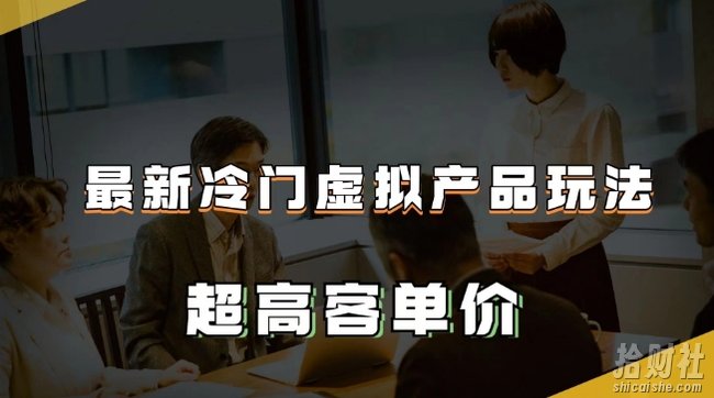 最新冷门虚拟产品玩法，超高客单价，月入2-3万＋【揭秘】