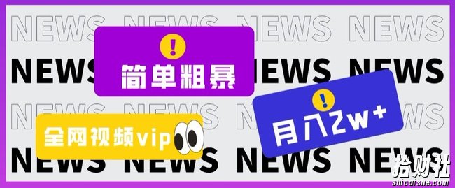 简单粗暴零成本，高回报，全网视频VIP掘金项目，月入2万＋【揭秘】