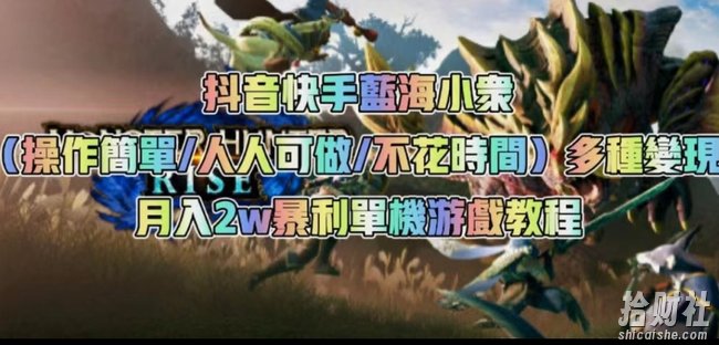 抖音快手蓝海小众(操作简单人人可做不花时间)多种变现月入2w+暴利单机游戏教程