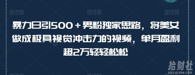 暴力日引500+男粉独家思路,将美女做成极具视觉冲击力的视频,单月盈利超2万轻轻松松