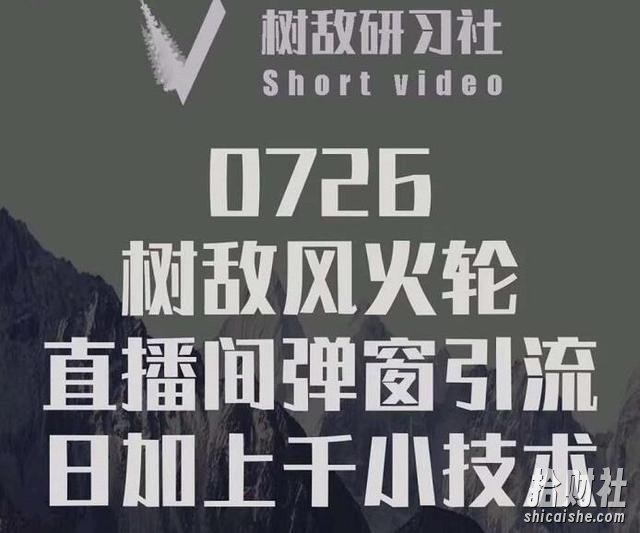 树敌习研社0726课程:抖音直播间风火轮,暴力微信引流技术,低成本日加上千法