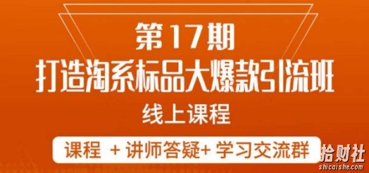 南掌柜-第17期打造淘系标品大爆款，5天线上课