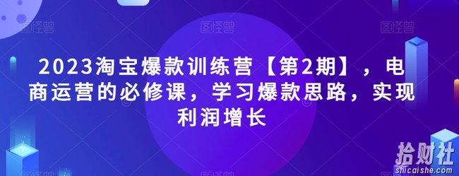 2023淘宝爆款训练营【第2期】，电商运营的必修课，学习爆款思路，实现利润增长