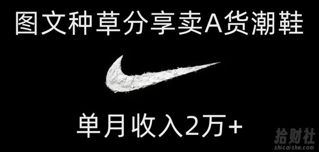 靠图文种草分享卖A货潮鞋，每天一小时，单月收入2万+【揭秘】