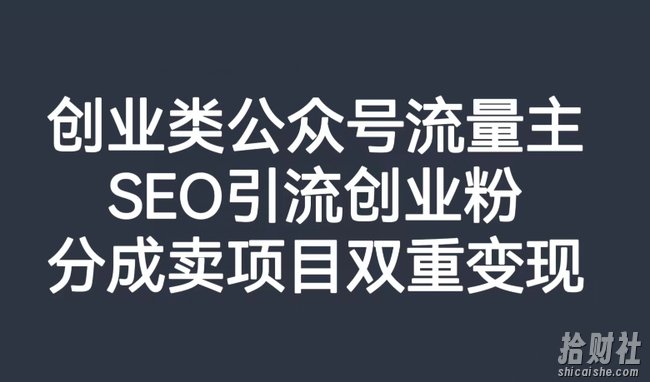 创业类公众号流量主,SEO引流创业粉,分成卖项目双重变现【揭秘】