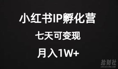 价值2000+的小红书IP孵化营项目,超级大蓝海,七天即可开始变现,稳定月入1W+